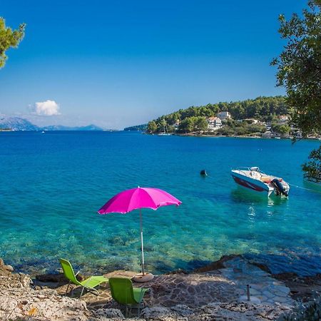 Apartments Villa Diha Korčula Cameră foto